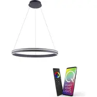 Paul Neuhaus Smart hanglamp Q-Vito Ø 80cm
