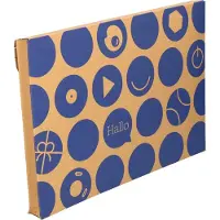 Bol 50x .com enveloppen dozen 380 x 260 mm - - Enveloppendoos