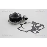 TRISCAN 8600 20001 Waterpomp