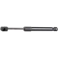 RIDEX 219G0218 Gasveer achterklep