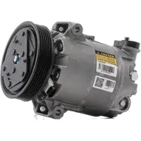 RIDEX 447K0900R Aircopomp