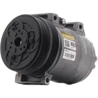 RIDEX 447K0121R Aircopomp