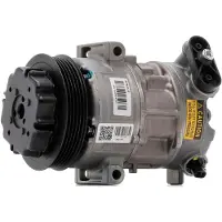 RIDEX 447K0193R Aircopomp
