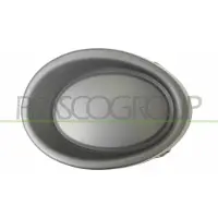 PRASCO DS7121250 Afdekkap, mistlamp