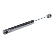 RIDEX 219G0248 Gasveer achterklep