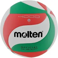 Molten V5M4000-DE Volleybal DVV