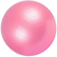 Gorilla Sports Fitnessbal Roze 75 cm incl. pomp