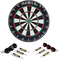 Pegasi dartbord Pro