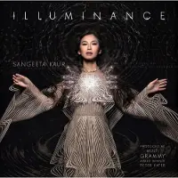 Suburban Illuminance