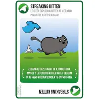 Asmodee Streaking Kittens NL