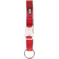 Dog Gone Smart Comet Dog Rechargeable Light Hondenhalsband