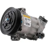 RIDEX 447K0894R Aircopomp