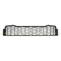 BLIC 6502-07-6011998P Ventilatiegrille, bumper