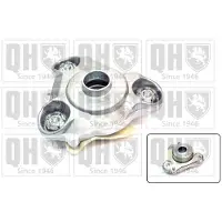 Quinton Hazell EMR6130 Veerpootlager