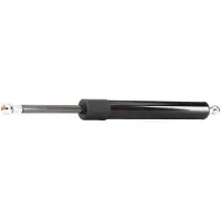 RIDEX 219G0400 Gasveer achterklep