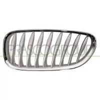 BLIC Radiatorrooster 6502-07-0089993P links