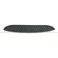 PRASCO ME3332163 Ventilatiegrille, bumper