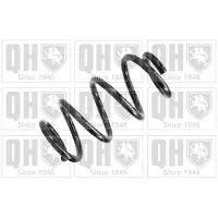 Quinton Hazell QCS5484 Chassisveer