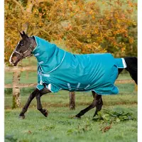 Horseware Deken Amigo Bravo 1200d Plus 400gr Groen - 125/175