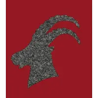 Ambiente - Lunch servetten - Capricorn Red