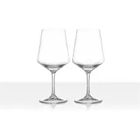 Brunner R&W Wijnglazen - Set 2 stuks - Onbreekbaar wijnglas - Tritan kunststof - BPA vrij - Vaatwasserbestendig tot 80 graden