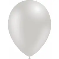Partywinkel Zilveren Ballonnen Metallic 30cm - 10 stuks