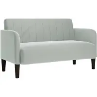 vidaXL Loveseat bank 109 cm fluweel lichtgrijs
