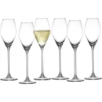 Ritzenhoff & Breker champagneglazen SALSA, 6 stuks, vaatwasserbestendig