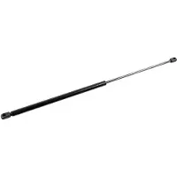 FEBI BILSTEIN 185327 Gasveer achterklep