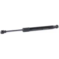 RIDEX 219G0894 Gasveer achterklep