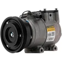 RIDEX 447K0748R Aircopomp