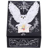 Nemesis Now - Owl Messenger Decoratieve opbergdoos - Multicolours