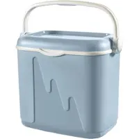 Curver Koelbox 32 liter - Grijs