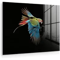 MuchoWow Glasschilderij 160x120 cm - Schilderij acrylglas - Papegaai - Kleurrijk - Vleugels - Sierlijk - Foto op glas - Muurdecoratie woonkamer - Wanddecoratie slaapkamer - Schilderijen