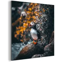 MuchoWow Aluminium schilderij 20x20 cm - Wanddecoratie metaal - Papegaai - Vogel - Rots - Wit - Metalen muurdecoratie woonkamer - Decoratie industrieel - Foto op dibond - Industriële accessoires slaapkamer