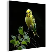 MuchoWow Aluminium schilderij 90x90 cm - Wanddecoratie metaal - Parkiet - Tak - Bladeren - Geel - Metalen muurdecoratie woonkamer - Decoratie industrieel - Foto op dibond - Industriële accessoires slaapkamer