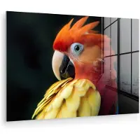 MuchoWow Glasschilderij 180x120 cm - Schilderij acrylglas - Close-up - Papegaai - Veren - Oranje - Foto op glas - Muurdecoratie woonkamer - Wanddecoratie slaapkamer - Schilderijen