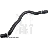 Blue Print ADBP930013 Radiateurslang