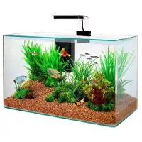 Zolux aquarium clear kit zwart 32 ltr 50x25x38 cm