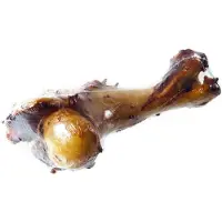 Petsnack dinobot verpakt - 30 cm - Hondensnacks