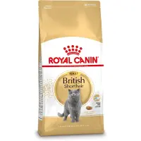 Royal Canin British shorthair adult 2kg