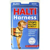 Company of animals Harnass Hondentuigje - Anti trektuigje - M - 60 tot 80 cm – Zwart