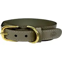 SAZZZ halsband hond pioneer classic leer taupe 42-50x3,5cm