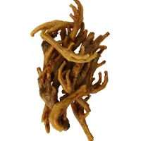 Petsnack kippenpoten gerookt bruin 1 kg - Hondensnacks