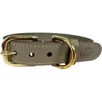 SAZZZ halsband hond braveheart classic leer taupe 37-45x3 cm