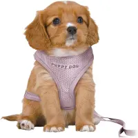 Trixie Junior zachte tuig voor puppy's met lijn, lila, maat: M-L / 10 mm