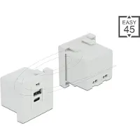 DeLOCK Easy 45 USB Charging Port Module 1 x Type-A + 1 x USB Type-C
