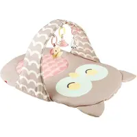 Hape Speelboog Uil Sina - Babygym met rammelaar, spiegel en bijtring, vanaf 0 maanden
