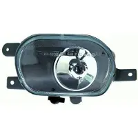 Diederichs 7685089 Mistlamp