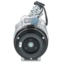 BV PSH 090.555.160.500 Aircopomp